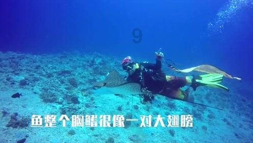 兰帕德谈自己表情包：我简直没眼看，但我当时就是忍不住